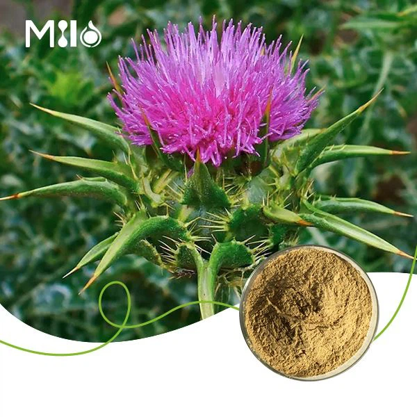 Silymarin Powder Silymarin Powder